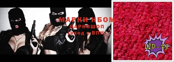 ГАЛЛЮЦИНОГЕННЫЕ ГРИБЫ Алексин