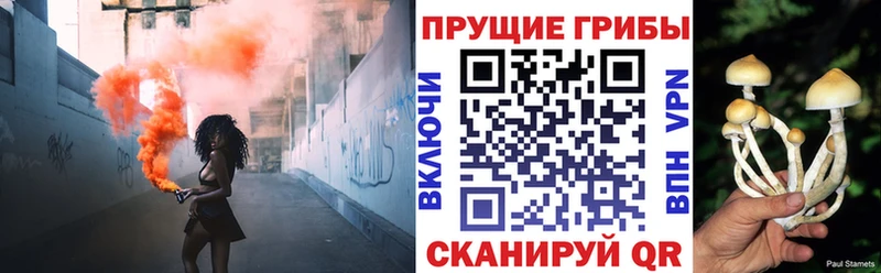 закладки  Фурманов  Галлюциногенные грибы мицелий 